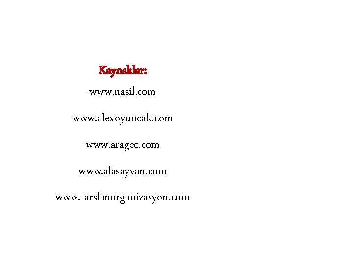 Kaynaklar: www. nasil. com www. alexoyuncak. com www. aragec. com www. alasayvan. com www.