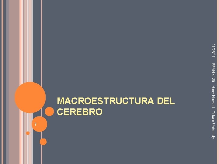 01/28/11 7 SPAN 4130 - Harry Howard - Tulane University MACROESTRUCTURA DEL CEREBRO 