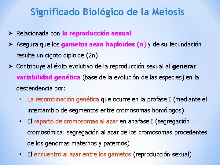 Significado Biológico de la Meiosis Ø Relacionada con la reproducción sexual Ø Asegura que