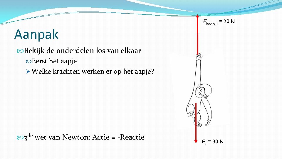 Aanpak Ftouwen = 30 N Bekijk de onderdelen los van elkaar Eerst het aapje