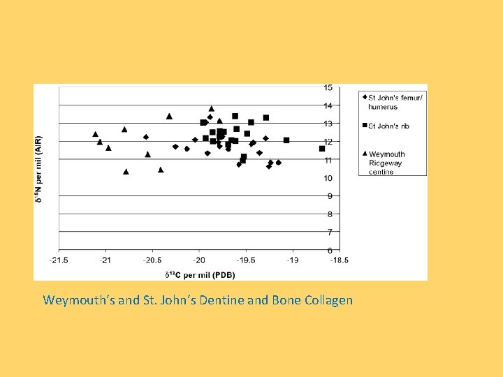 Weymouth’s and St. John’s Dentine and Bone Collagen 