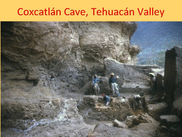 Coxcatlán Cave, Tehuacán Valley 
