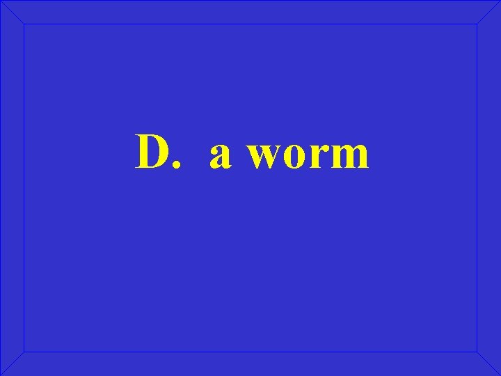 D. a worm 