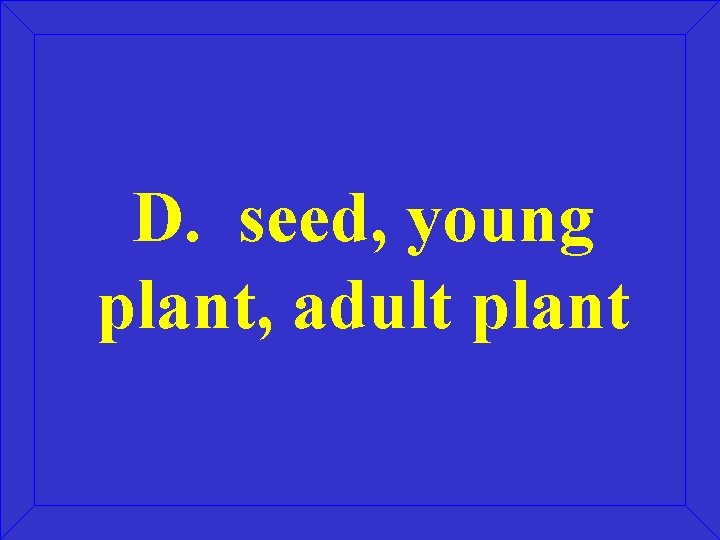 D. seed, young plant, adult plant 