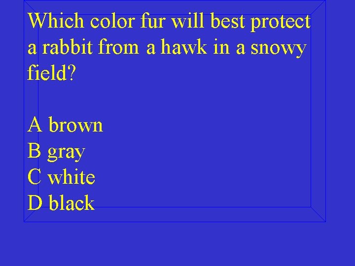 Which color fur will best protect a rabbit from a hawk in a snowy