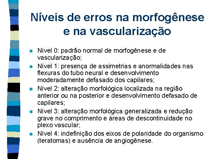 Níveis de erros na morfogênese e na vascularização n n n Nível 0: padrão