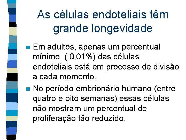 As células endoteliais têm grande longevidade n n Em adultos, apenas um percentual mínimo