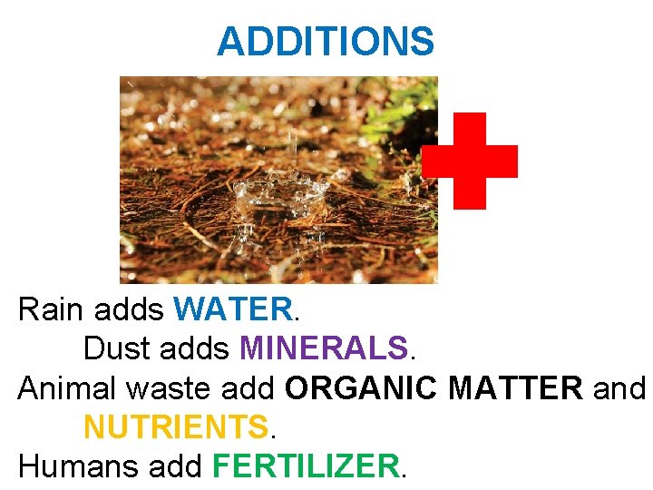 ADDITIONS Rain adds WATER. Dust adds MINERALS. Animal waste add ORGANIC MATTER and NUTRIENTS. ADDITIONS Rain adds WATER. Dust adds MINERALS. Animal waste add ORGANIC MATTER and NUTRIENTS.