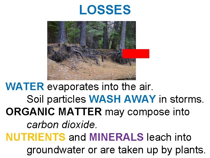 LOSSES WATER evaporates into the air. Soil particles WASH AWAY in storms. ORGANIC MATTER