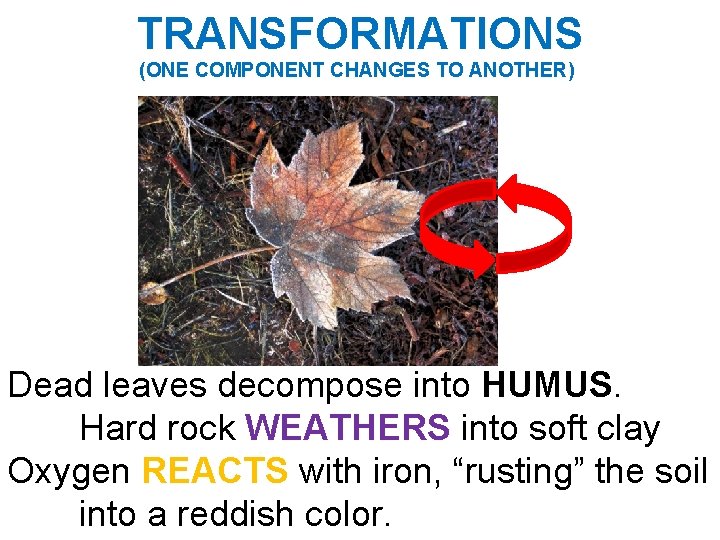 TRANSFORMATIONS (ONE COMPONENT CHANGES TO ANOTHER) Dead leaves decompose into HUMUS. Hard rock WEATHERS