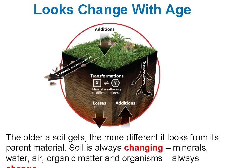 Looks Change With Age The older a soil gets, the more different it looks Looks Change With Age The older a soil gets, the more different it looks