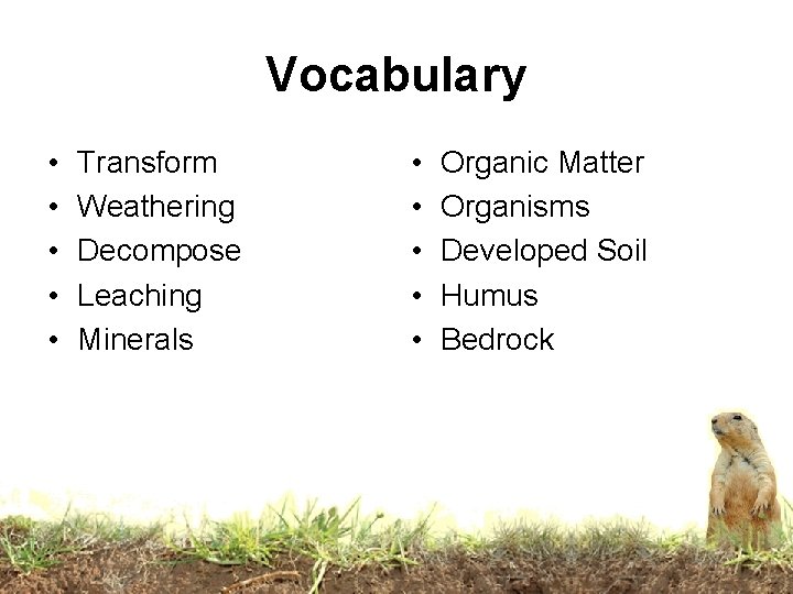 Vocabulary • • • Transform Weathering Decompose Leaching Minerals • • • Organic Matter Vocabulary • • • Transform Weathering Decompose Leaching Minerals • • • Organic Matter