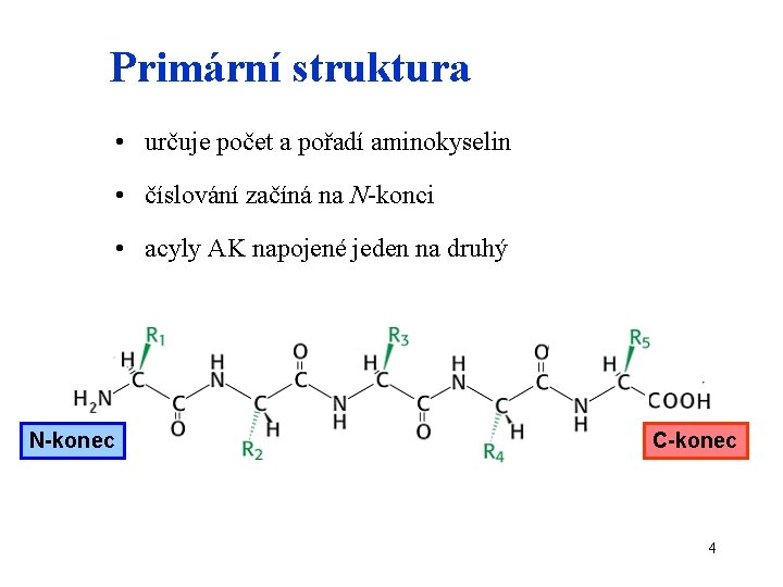 Primární struktura • určuje počet a pořadí aminokyselin • číslování začíná na N-konci •