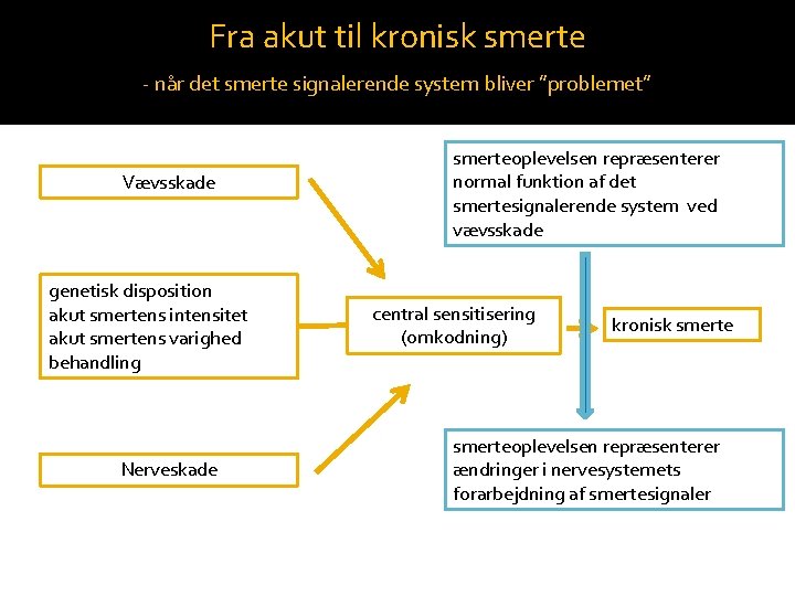 Fra akut til kronisk smerte - når det smerte signalerende system bliver ”problemet” Vævsskade