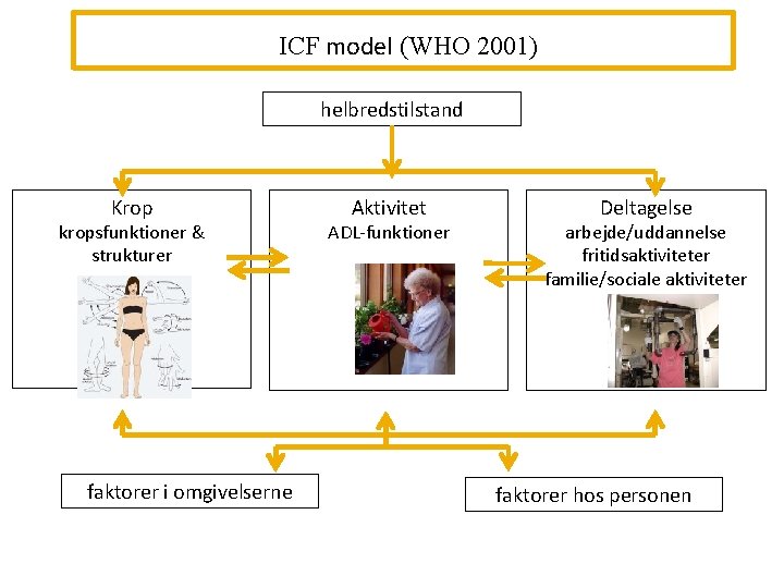 ICF model (WHO 2001) helbredstilstand Krop kropsfunktioner & strukturer psykologiske fysiske faktorer i omgivelserne
