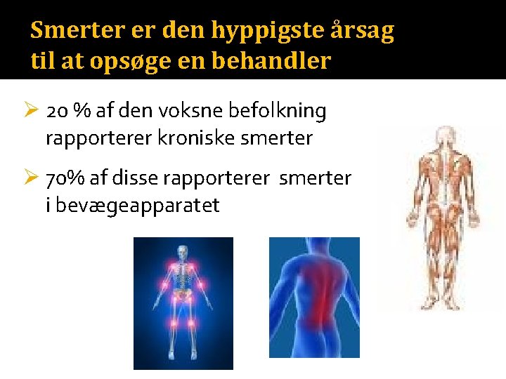 Smerter er den hyppigste årsag til at opsøge en behandler Ø 20 % af