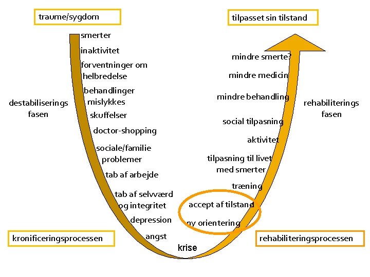 traume/sygdom tilpasset sin tilstand smerter inaktivitet mindre smerte? forventninger om helbredelse destabiliserings fasen mindre