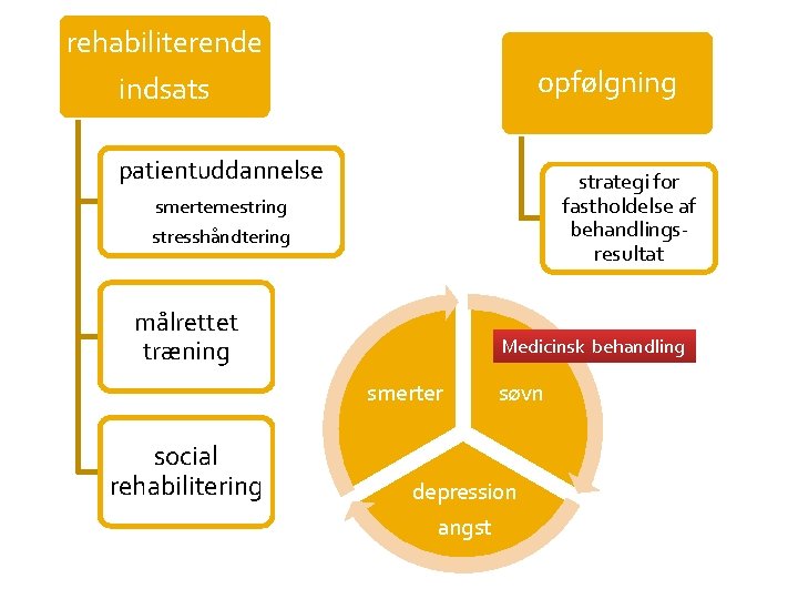 rehabiliterende opfølgning indsats patientuddannelse strategi for fastholdelse af behandlingsresultat smertemestring stresshåndtering målrettet træning Medicinsk