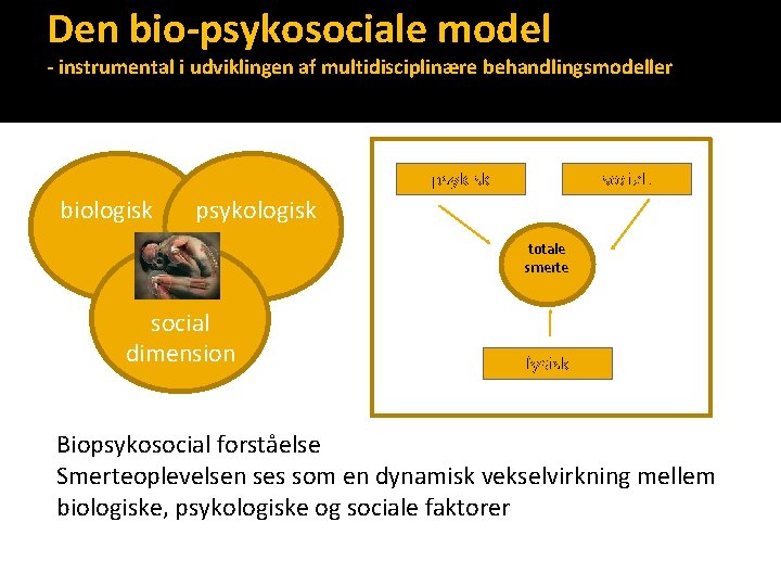 Den bio-psykosociale model - instrumental i udviklingen af multidisciplinære behandlingsmodeller psykisk biologisk socialt psykologisk