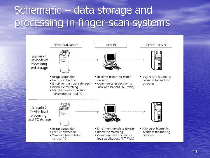 Schematic – data storage and processing in finger-scan systems 11 Schematic – data storage and processing in finger-scan systems 11