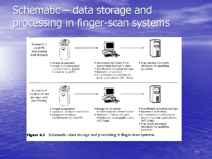 Schematic – data storage and processing in finger-scan systems 12 