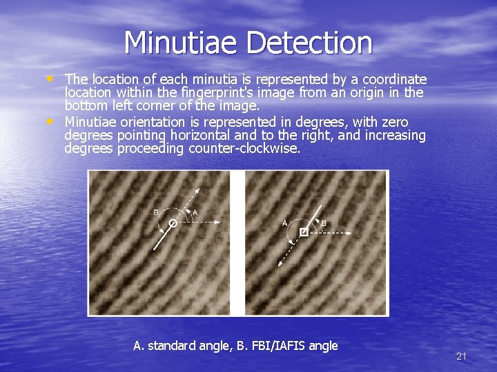 Minutiae Detection • The location of each minutia is represented by a coordinate •