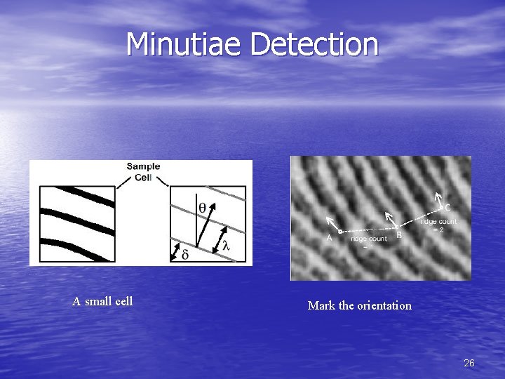 Minutiae Detection A small cell Mark the orientation 26 