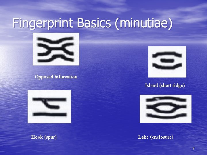 Fingerprint Basics (minutiae) Opposed bifurcation Island (short ridge) Hook (spur) Lake (enclosure) 7 