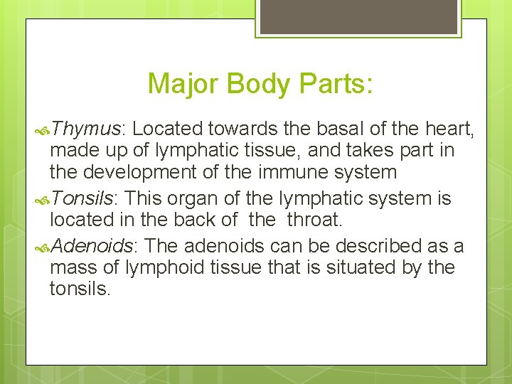 Major Body Parts: Thymus: Located towards the basal of the heart, made up of