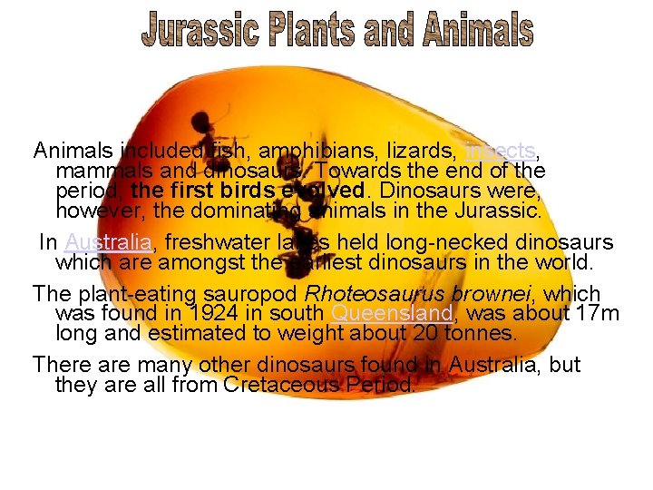 Animals included fish, amphibians, lizards, insects, mammals and dinosaurs. Towards the end of the