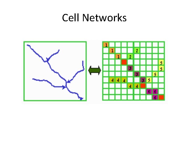 Cell Networks 