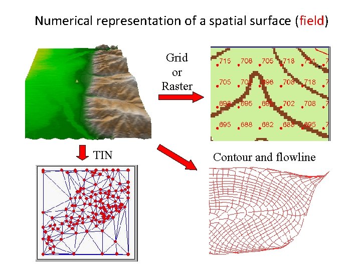 Numerical representation of a spatial surface (field) Grid or Raster TIN Contour and flowline