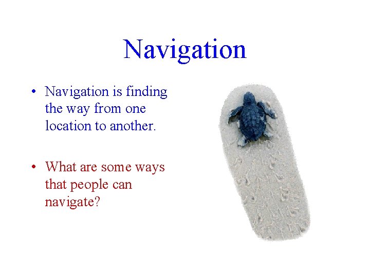 Navigation • Navigation is finding the way from one location to another. • What