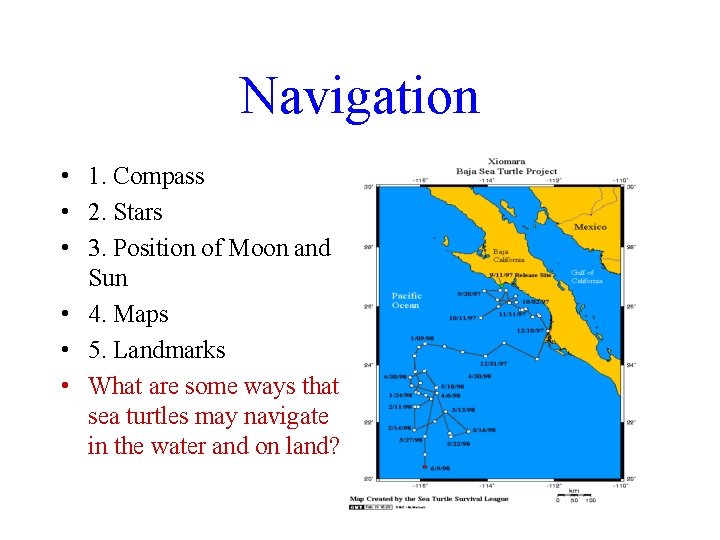 Navigation • 1. Compass • 2. Stars • 3. Position of Moon and Sun