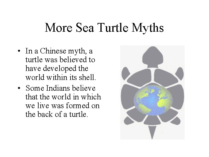 More Sea Turtle Myths • In a Chinese myth, a turtle was believed to