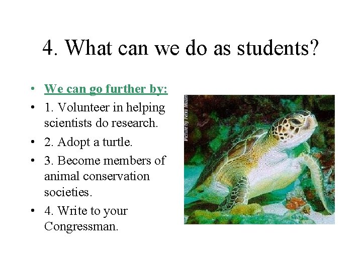 4. What can we do as students? • We can go further by: •