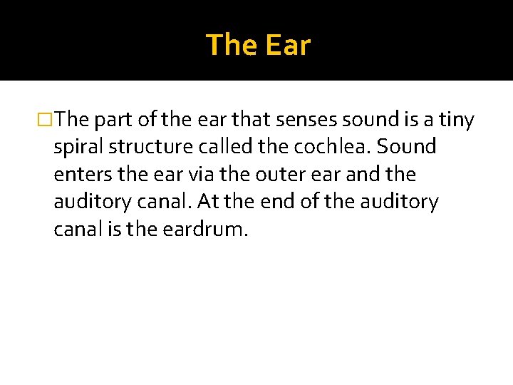 The Ear �The part of the ear that senses sound is a tiny spiral