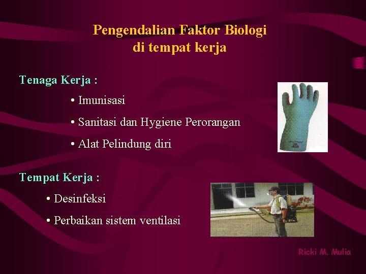 Pengendalian Faktor Biologi di tempat kerja Tenaga Kerja : • Imunisasi • Sanitasi dan