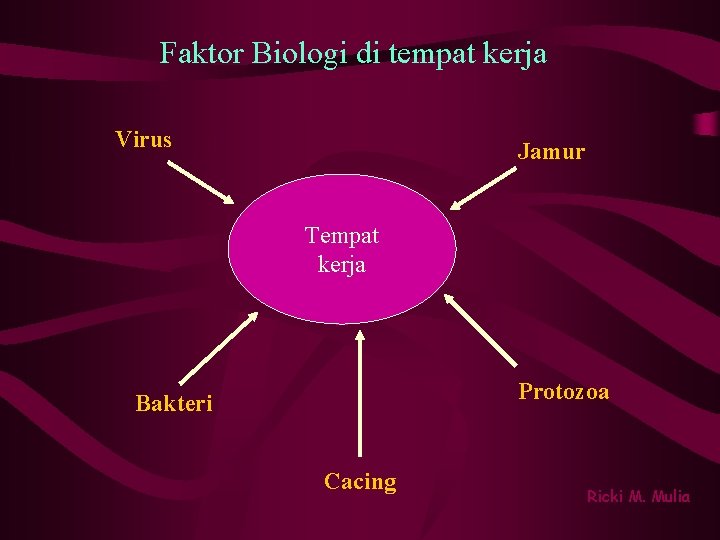 Faktor Biologi di tempat kerja Virus Jamur Tempat kerja Protozoa Bakteri Cacing Ricki M.