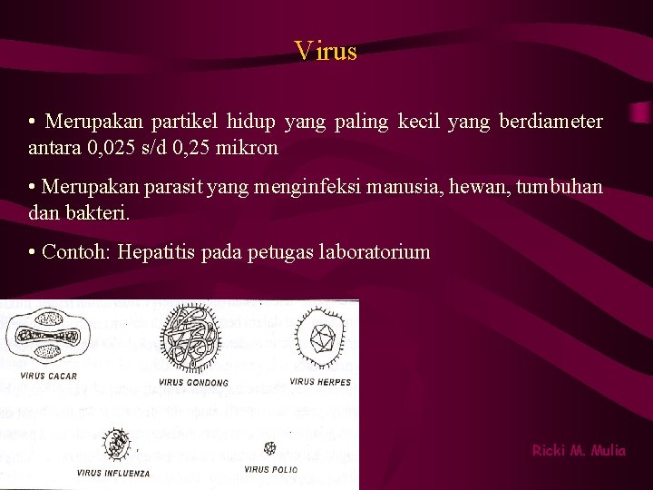 Virus • Merupakan partikel hidup yang paling kecil yang berdiameter antara 0, 025 s/d