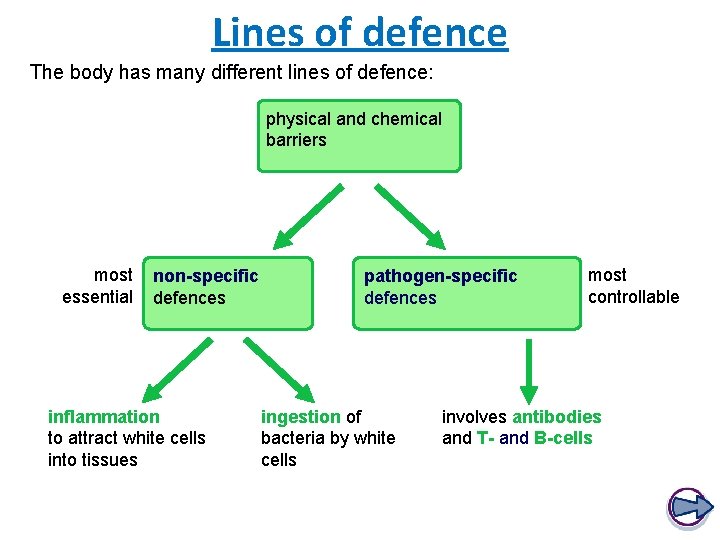 Lines of defence The body has many different lines of defence: physical and chemical