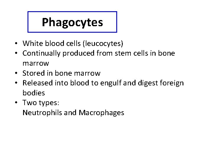 Phagocytes • White blood cells (leucocytes) • Continually produced from stem cells in bone