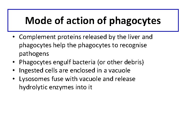 Mode of action of phagocytes • Complement proteins released by the liver and phagocytes