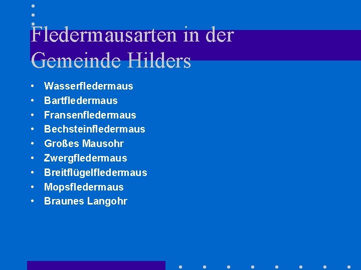 Fledermausarten in der Gemeinde Hilders • • • Wasserfledermaus Bartfledermaus Fransenfledermaus Bechsteinfledermaus Großes Mausohr