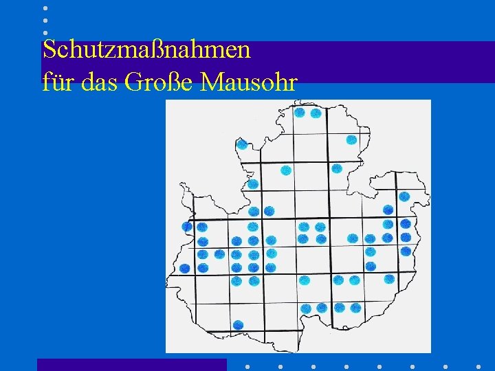 Schutzmaßnahmen für das Große Mausohr 