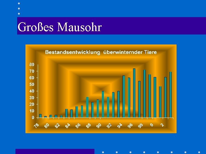 Großes Mausohr 