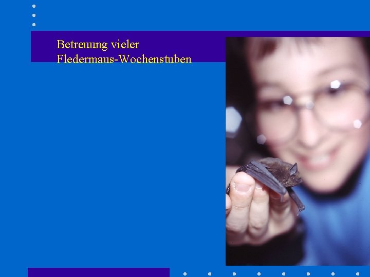 Betreuung vieler Fledermaus-Wochenstuben 