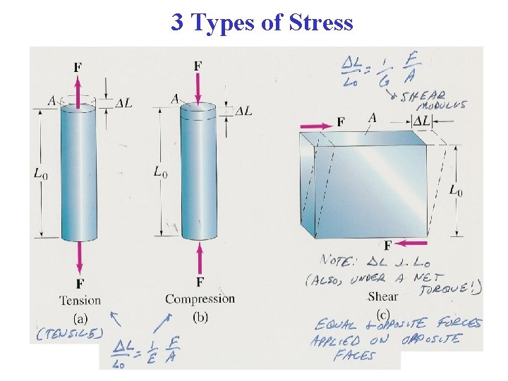 3 Types of Stress 