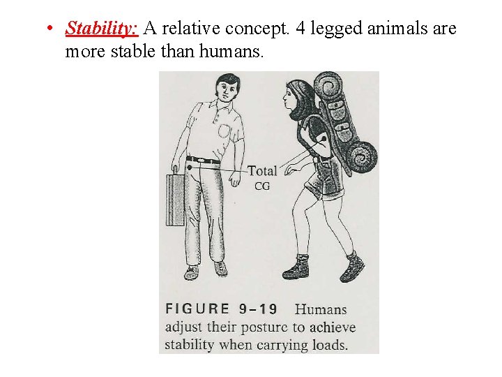  • Stability: A relative concept. 4 legged animals are more stable than humans.