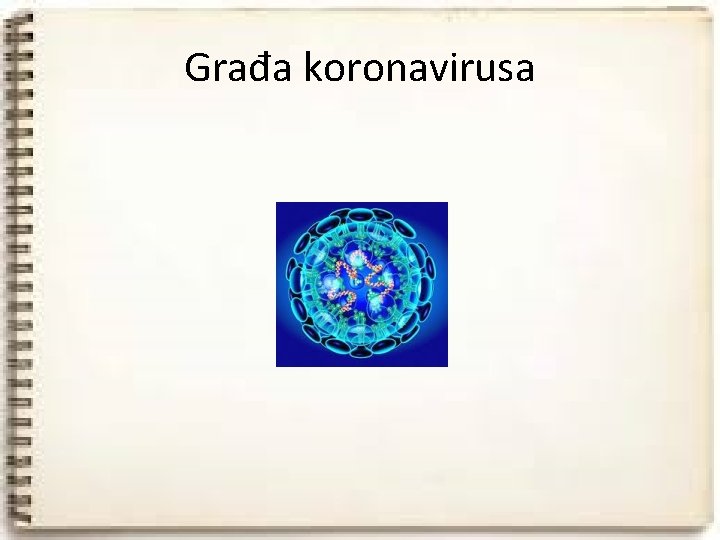 Građa koronavirusa 